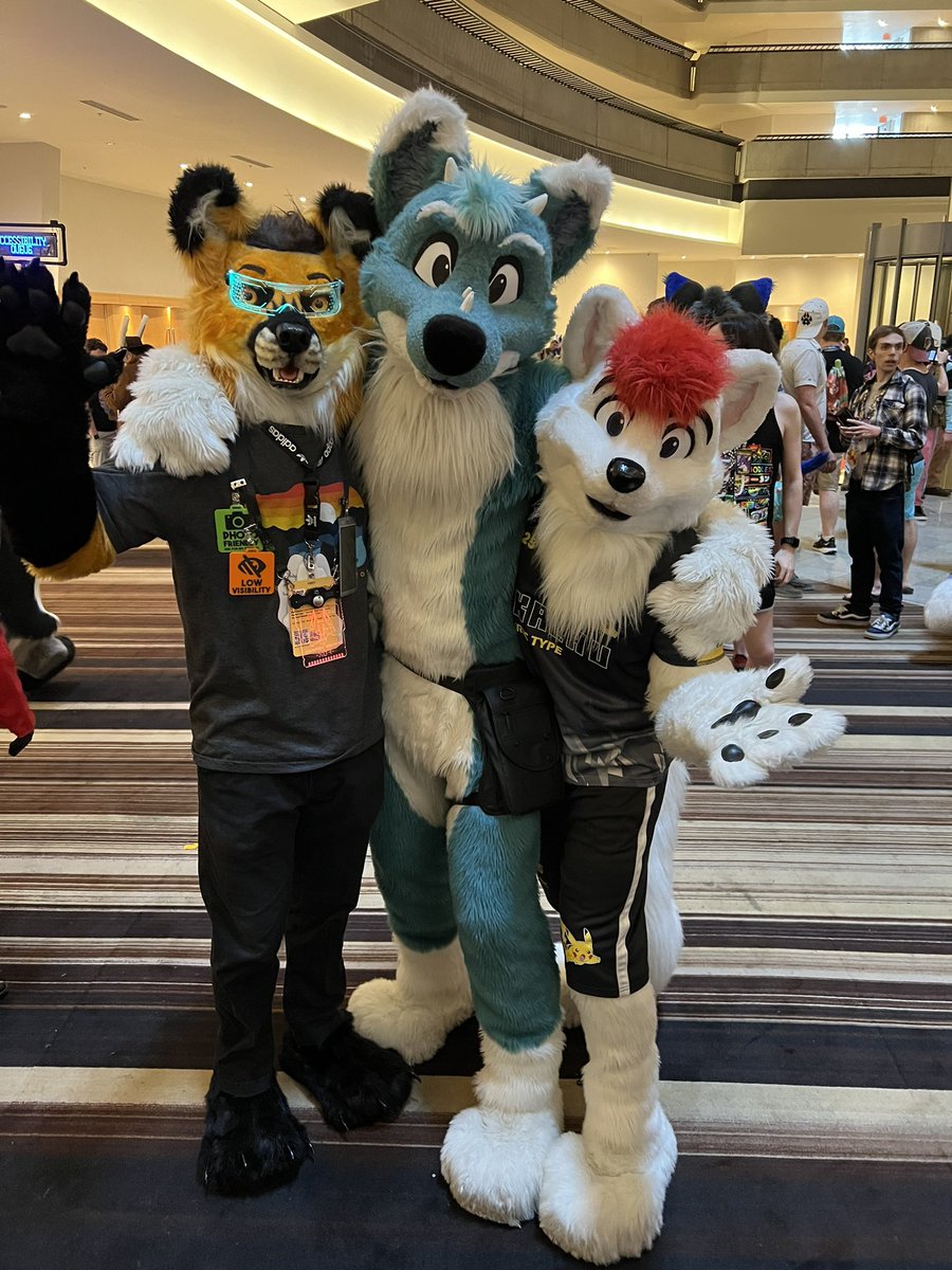 Striker Fox tweet media