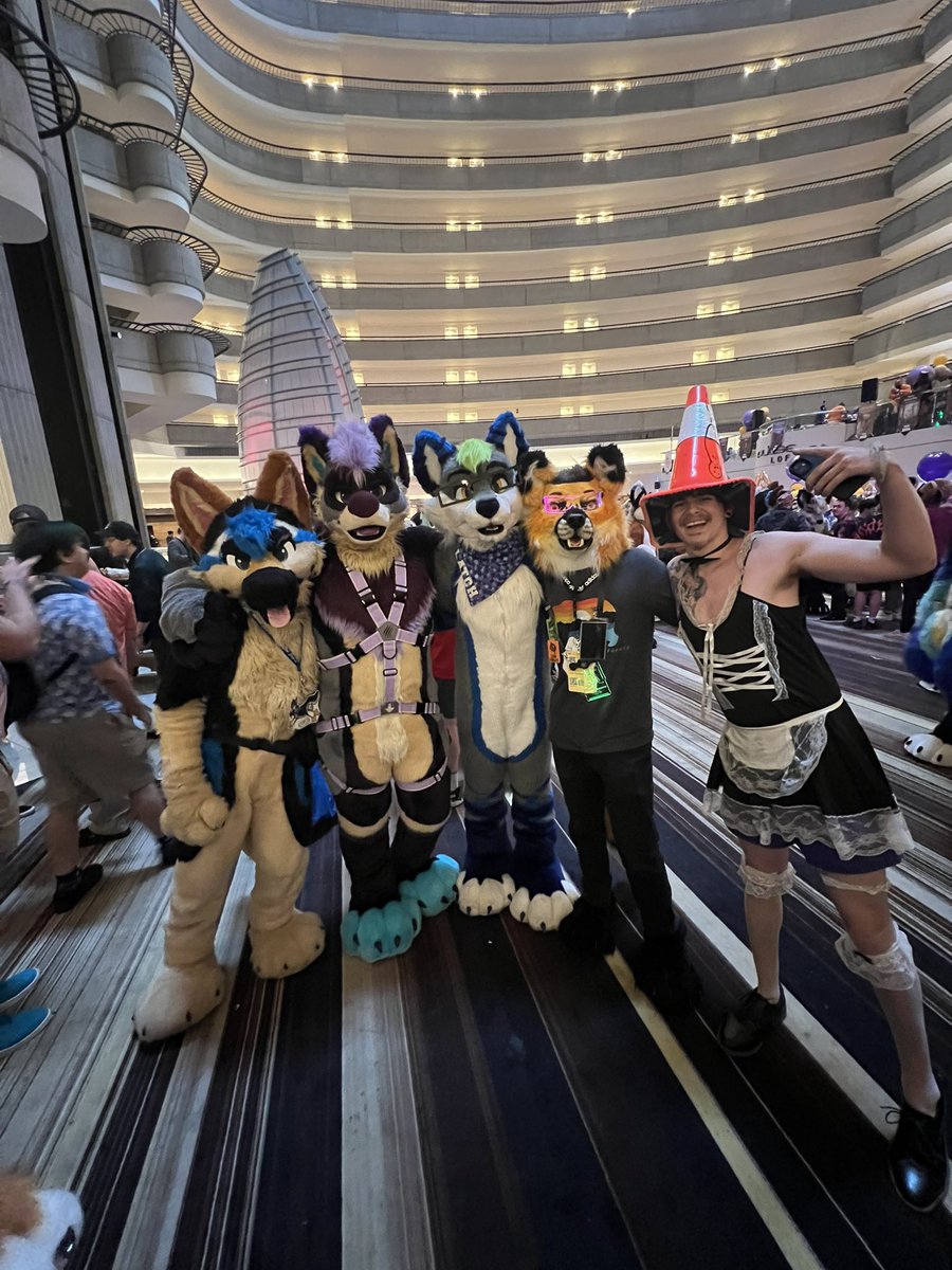 Striker Fox tweet media