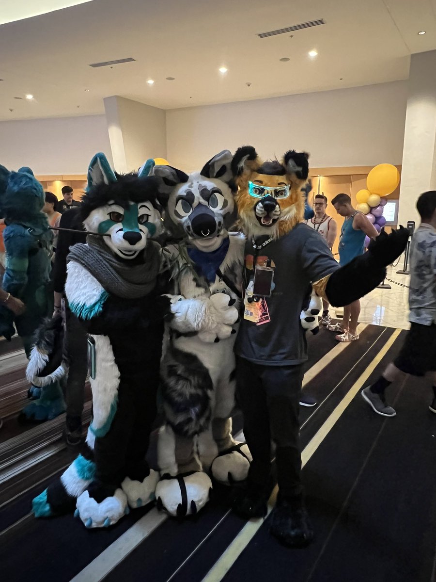 Striker Fox tweet media