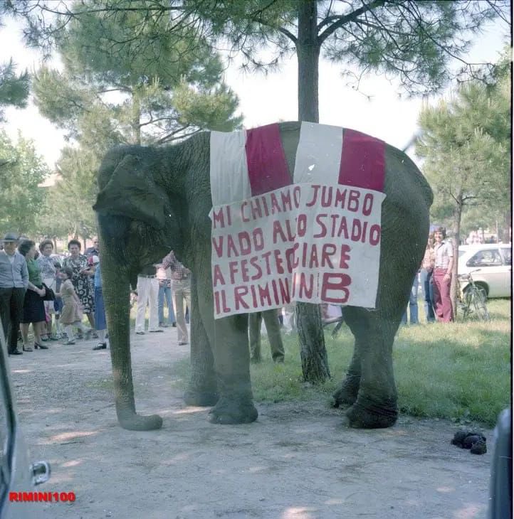 𝟐𝟑 𝐦𝐚𝐠𝐠𝐢𝐨 𝟏𝟗𝟕𝟔 📌

La prima volta è sempre 🅱️ella ✨

#ForzaRiminiSempre ⚪️🔴