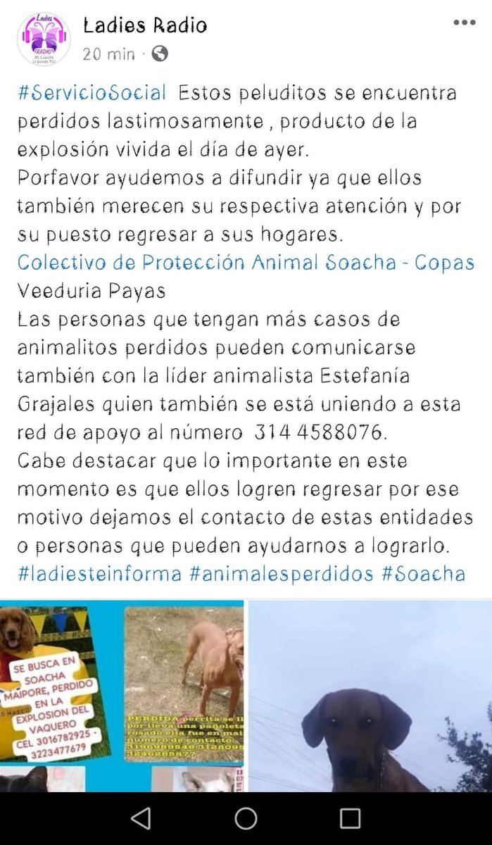 EstefaniaG58751's tweet photo. Que nuestros animales lleguen a su hogar, gracias por alzar su voz #porlavozdelosquenotienenvoz #BienestarAnimal #Soacha  #explosión #elbaquero https://t.co/GS1Z3jA15k