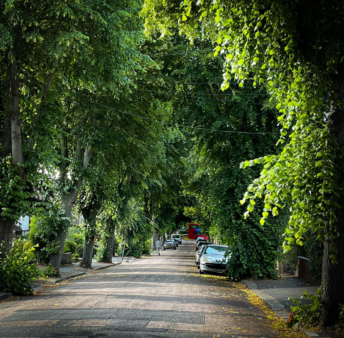 Street forest-bathing 🧘🌳 A recent study found - 'that when people can see trees, there is an increase in their mental wellbeing, and this lasts at least eight hours.' We say, bring these benefits into the world outside our front doors 🏡@treesforstreets 🌳🌳