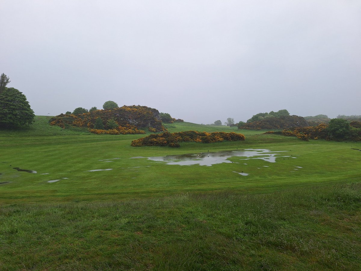 dodger1874's tweet image. With over 40mm fell overnight and the yellow warning in place until 6pm the course is unfortunately closed