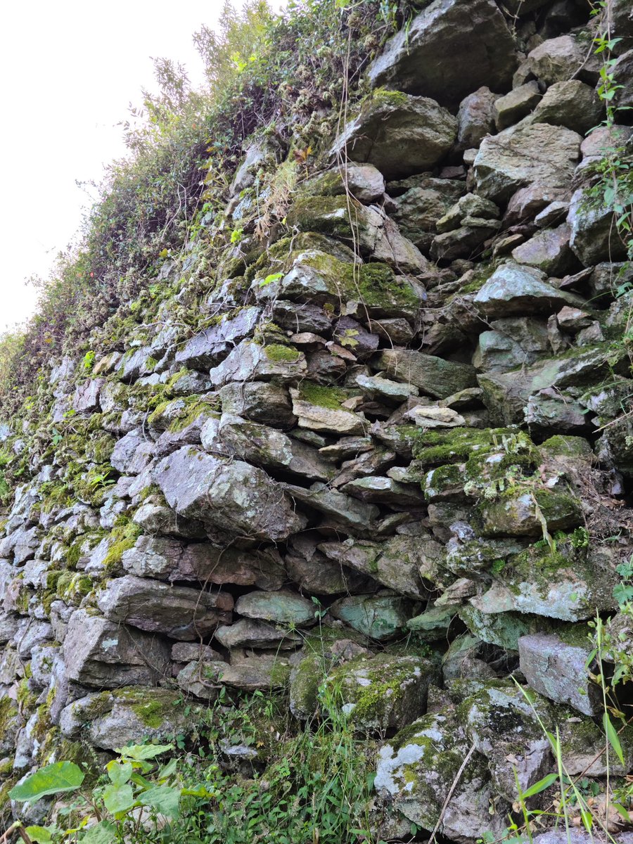 BackInMusashi's tweet image. 4年前に行きましたが全山モジャモジャの草ぼうぼうで大変でした。今行けば気持良く踏査出来るでしょう。山頂は3枚目の写真のようなすり鉢状の地形で1番低い底に石築の貯水池が残っていました。高興はウナギが美味かったし、また行きたい所の一つ。