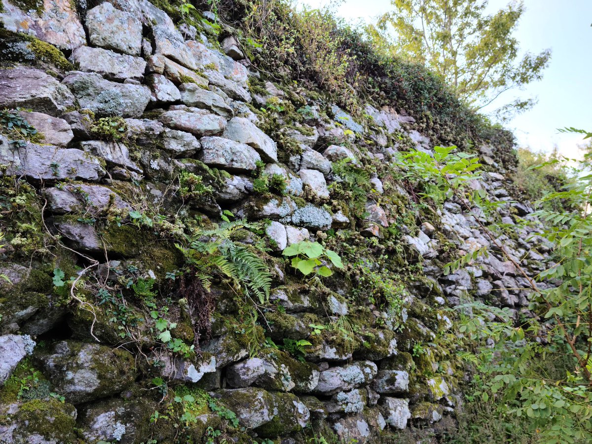 BackInMusashi's tweet image. 4年前に行きましたが全山モジャモジャの草ぼうぼうで大変でした。今行けば気持良く踏査出来るでしょう。山頂は3枚目の写真のようなすり鉢状の地形で1番低い底に石築の貯水池が残っていました。高興はウナギが美味かったし、また行きたい所の一つ。