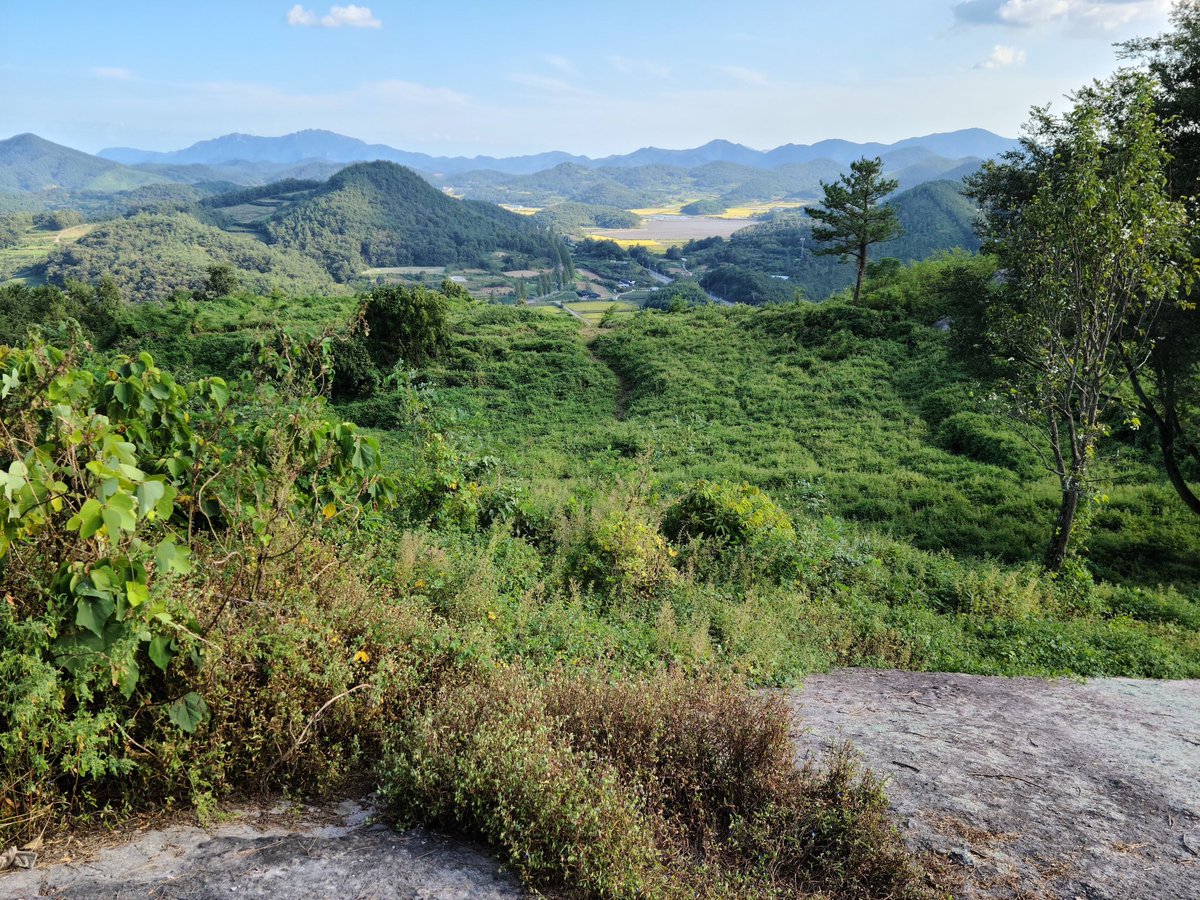 BackInMusashi's tweet image. 4年前に行きましたが全山モジャモジャの草ぼうぼうで大変でした。今行けば気持良く踏査出来るでしょう。山頂は3枚目の写真のようなすり鉢状の地形で1番低い底に石築の貯水池が残っていました。高興はウナギが美味かったし、また行きたい所の一つ。