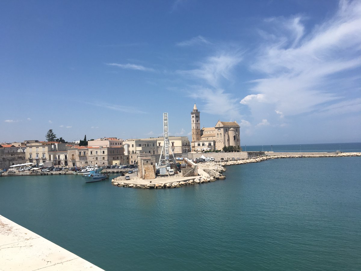 Trani: Pearl of the Adriatic❤️🇮🇹
Check out this item on OpenSea
opensea.io/assets/matic/0…

#NFTcollector #NFTs #NFT #OpenSeaNFT #openseanfts #OpenSeaMarket #photography #nature #NaturePhotography #nftphotographer #nftphoto #photographers