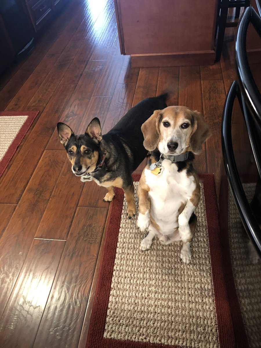 Teddy Bear 🌈 tweet media