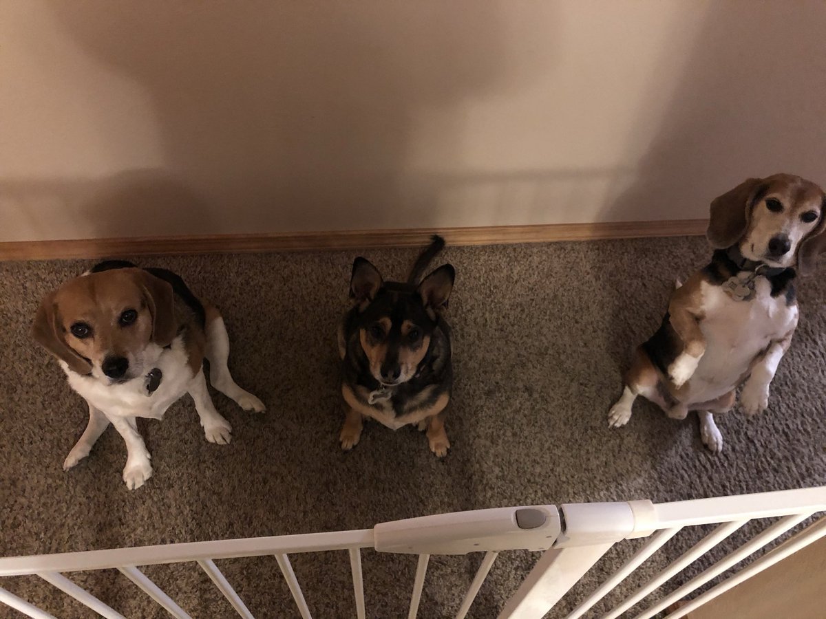 Teddy Bear 🌈 tweet media