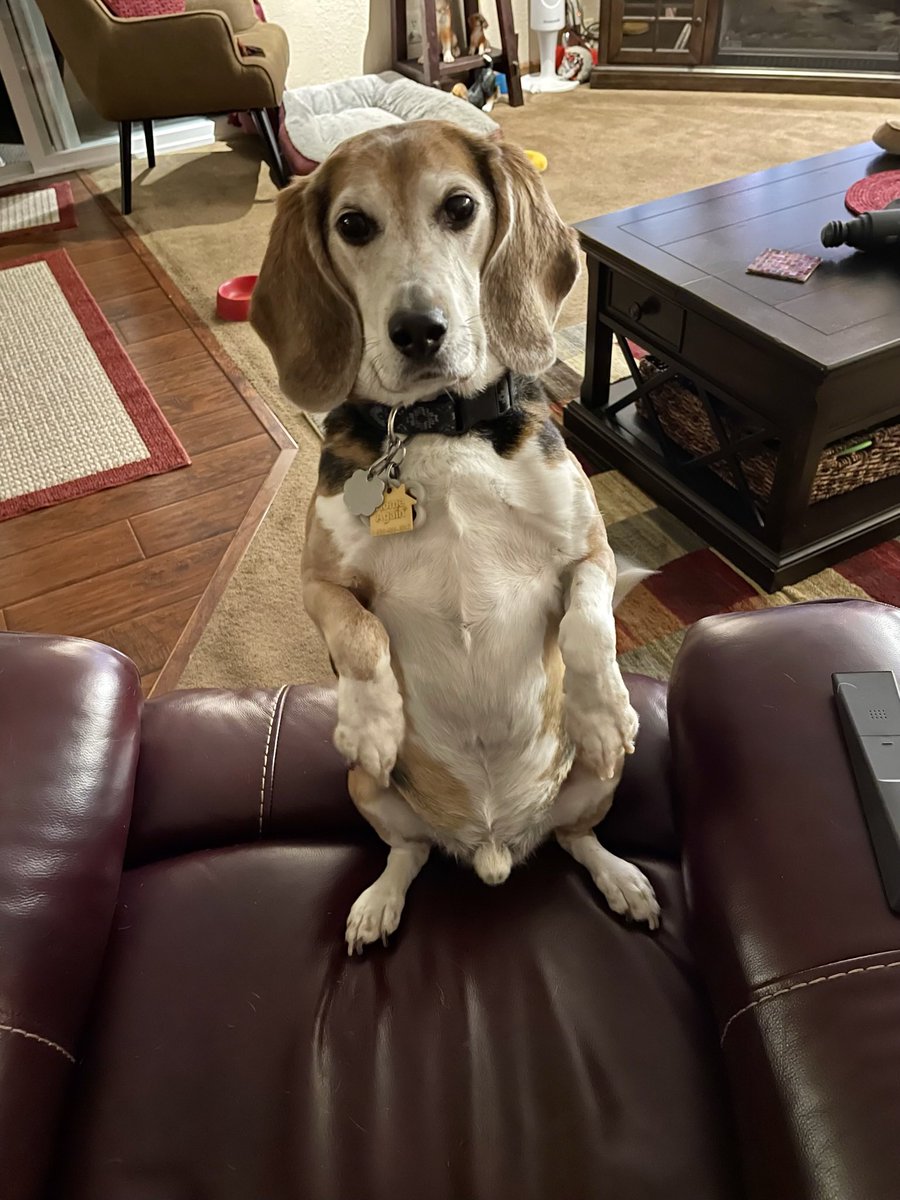 Teddy Bear 🌈 tweet media