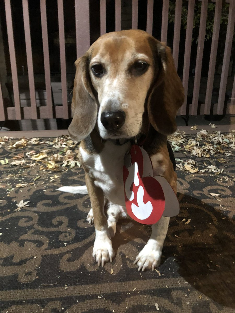 Teddy Bear 🌈 tweet media