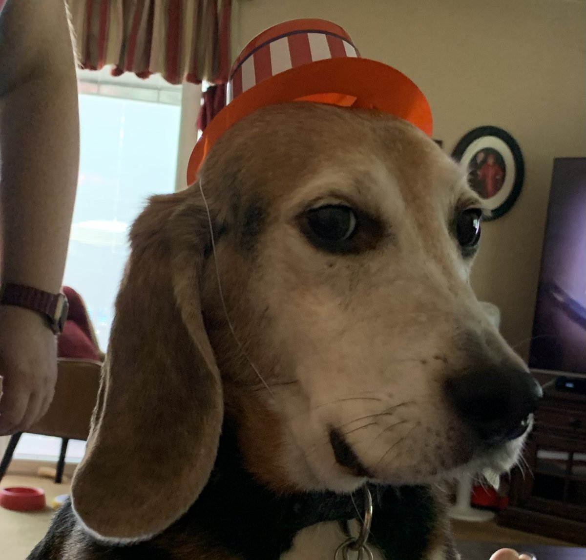 Teddy Bear 🌈 tweet media