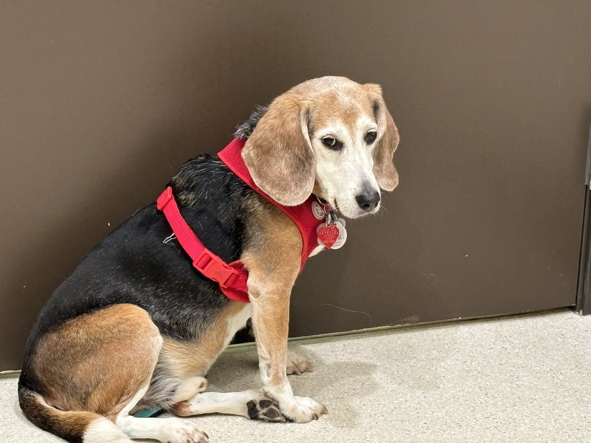 Teddy Bear 🌈 tweet media