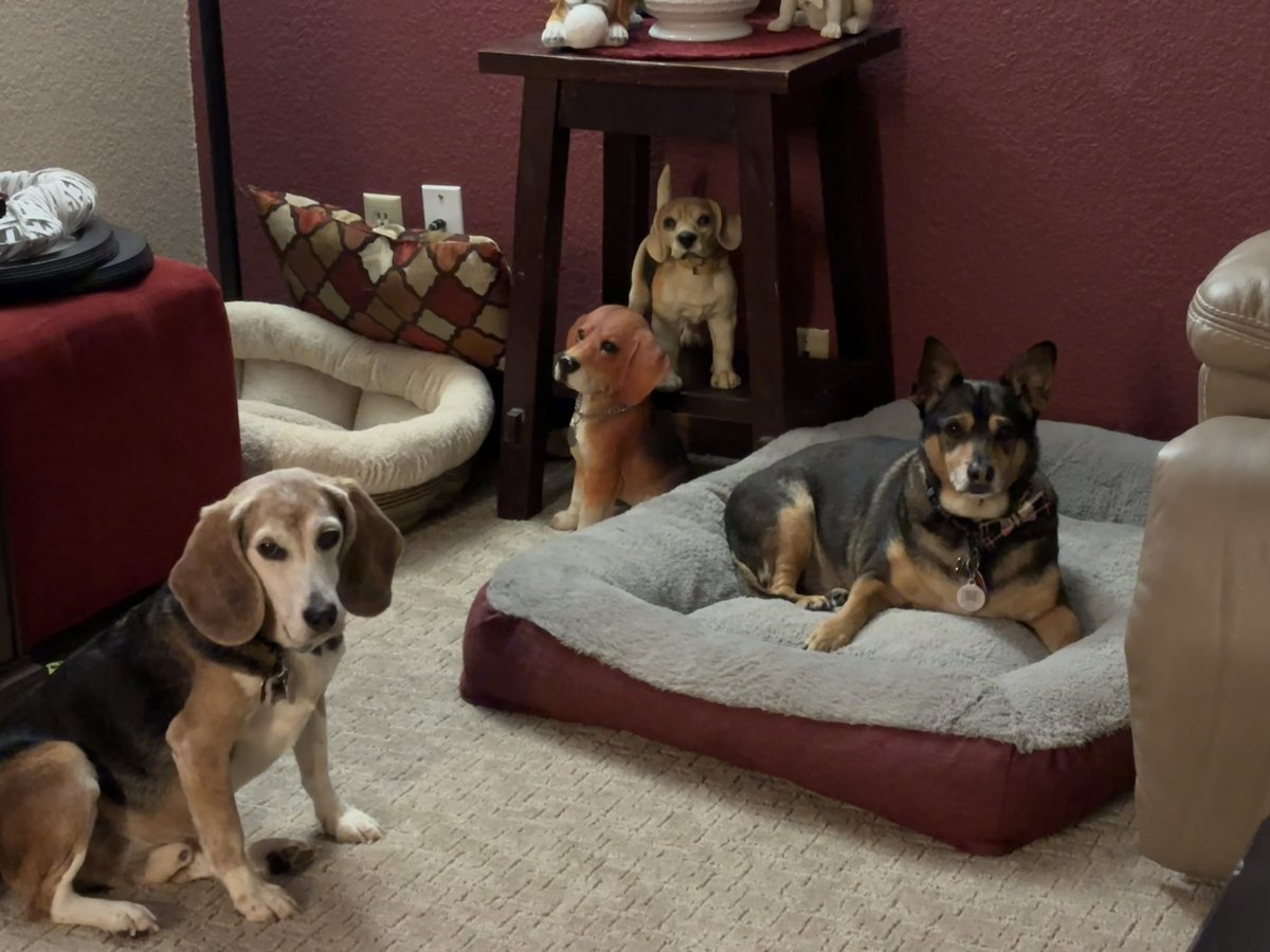 Teddy Bear 🌈 tweet media