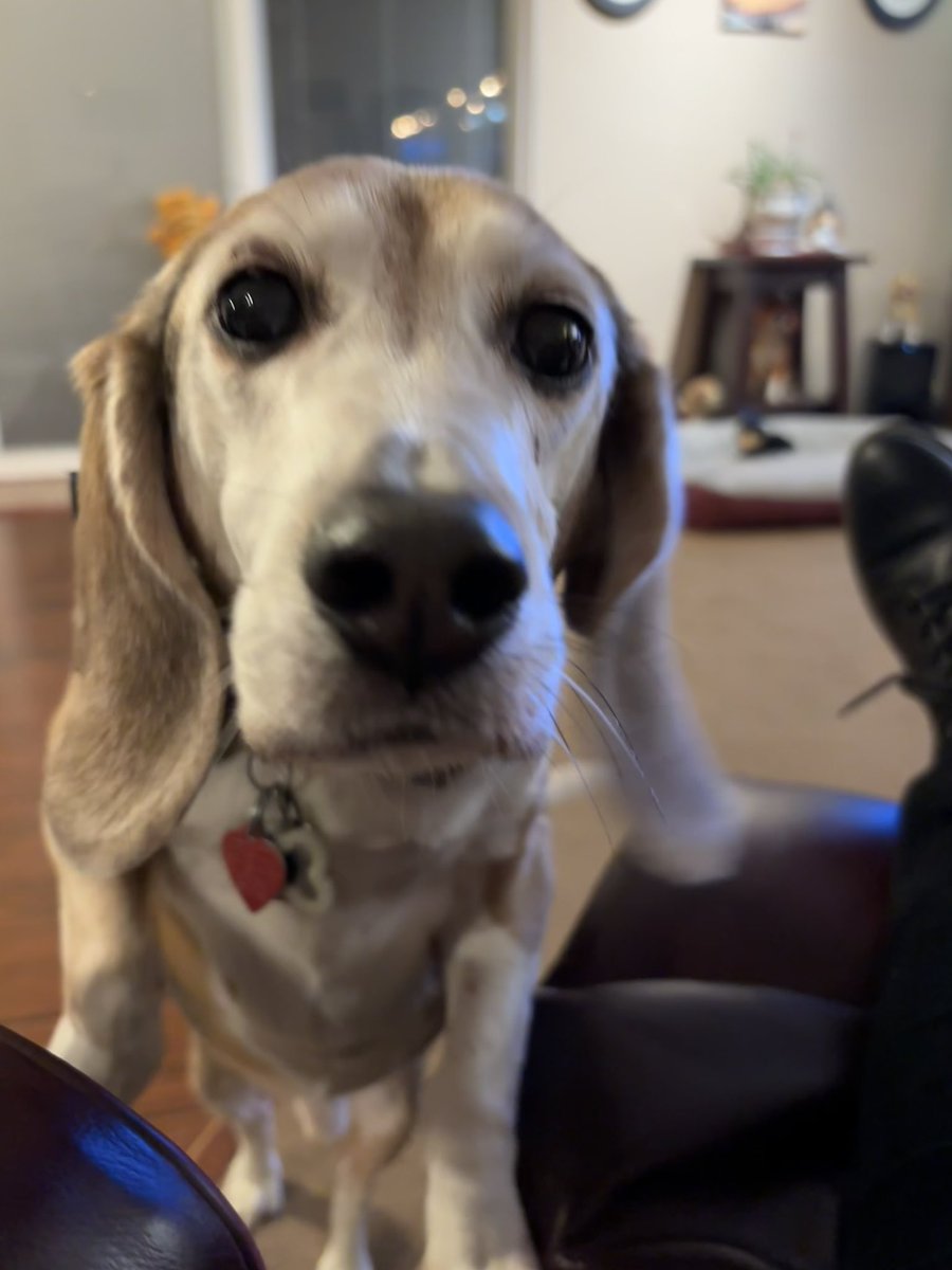 Teddy Bear 🌈 tweet media