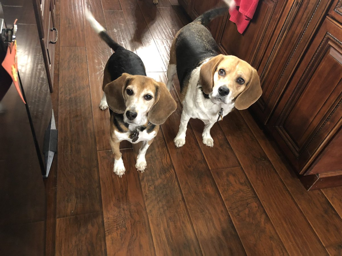 Teddy Bear 🌈 tweet media