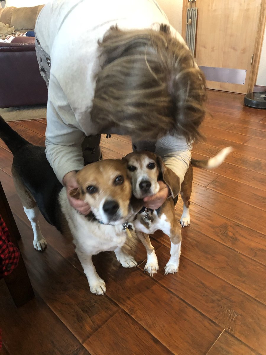 Teddy Bear 🌈 tweet media