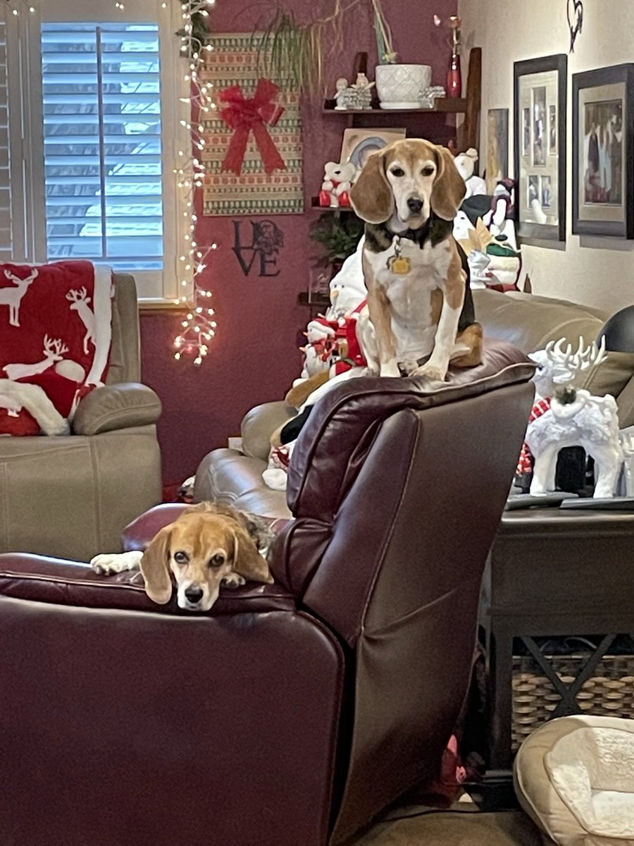 Teddy Bear 🌈 tweet media