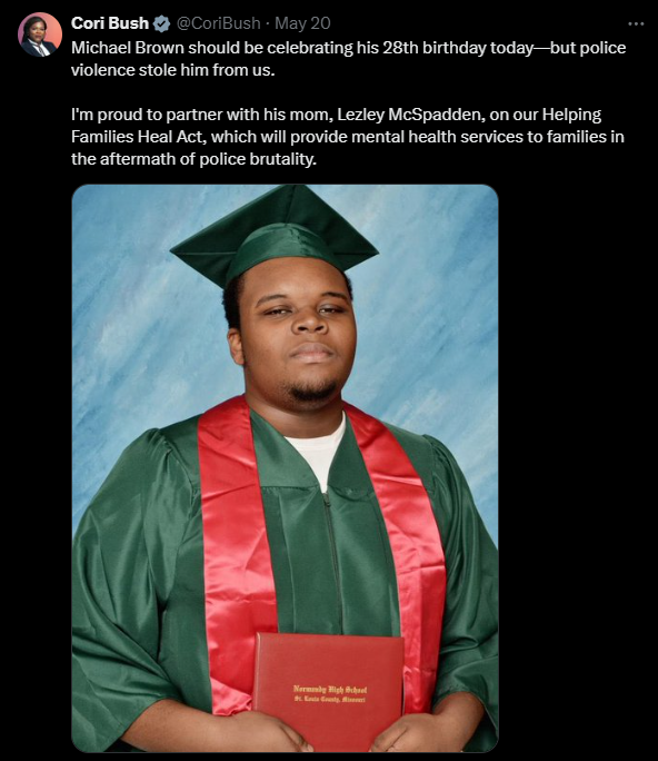 Michael Brown did a strong arm robbery of a little guy at a convenience store. Brown was 6'4' or 6'5' and weighed nearly 300lbs. After the robbery -- which was caught on tape -- Brown and his friend were walking in the street. A police officer told them to get out of the