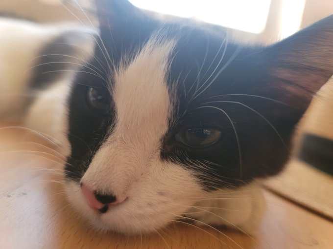 Cattin around https://t.co/iiuBI9FbuY