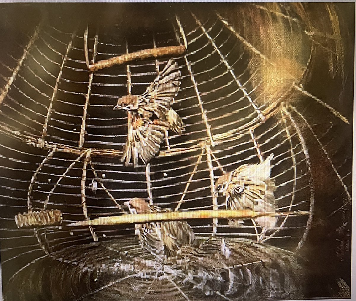 kamranin64's tweet photo. GM fam
❤️🔥❤️🔥from my emotion collection:
Lifetime
1/2 edition 100xtz
It’s my life story🤘🏻
#physical #physicalart #naderehk #nft #difficulties #liftetime #physicalartists #objkt #tezos #tezostuesdaycommunity #painting
please ❤️&🔁& collect🌹
https://t.co/F15X6pku8g https://t.co/Gk9ddf2eE4