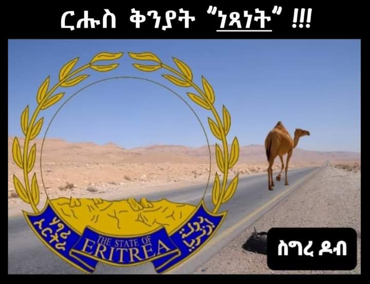 EXODUS, best describes #Eritrea's 33 years of COLONIZATION under the #PFDJ / #EPLF Junta Regime.