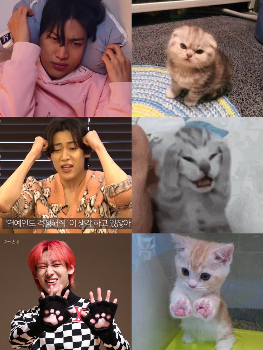 mootyBB's tweet photo. น้อบแบมเหมือนแมวหรือแมวเหมือนน้องแบม??

#BamBam #뱀뱀 @BamBam1A https://t.co/9CDPuvQM6s