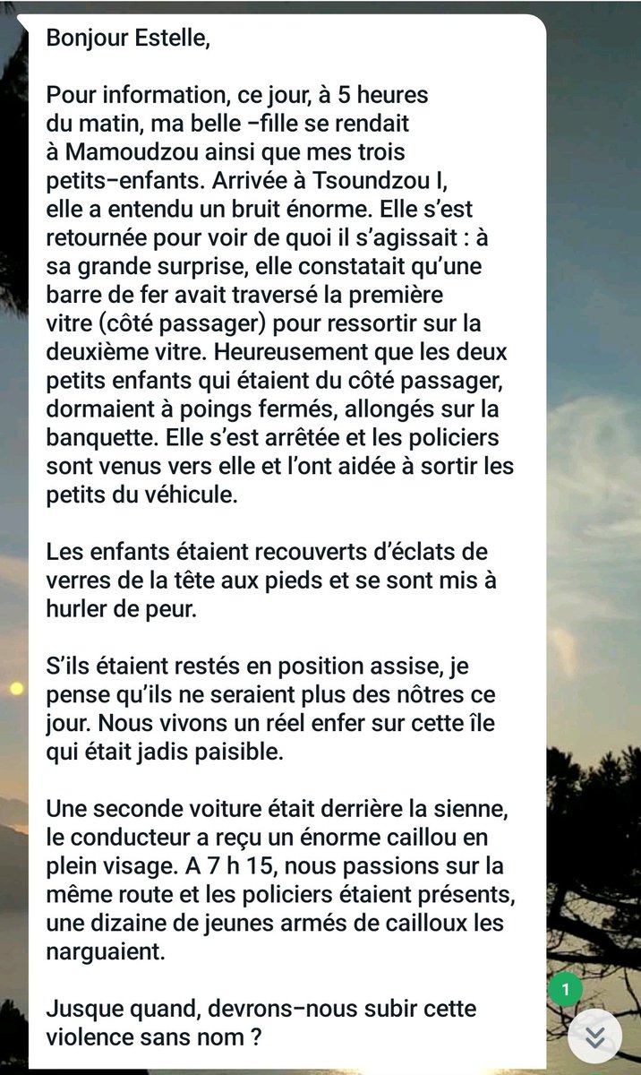 La #Violence à #Mayotte : une terreur quotidienne. Risquer sa vie pour aller à la crèche, au travail, faire ses courses. L'impunité des barbares. Une #justice aux abonnés absents après les arrestations @E_DupondM  @GabrielAttal @GDarmanin @mguevenoux
