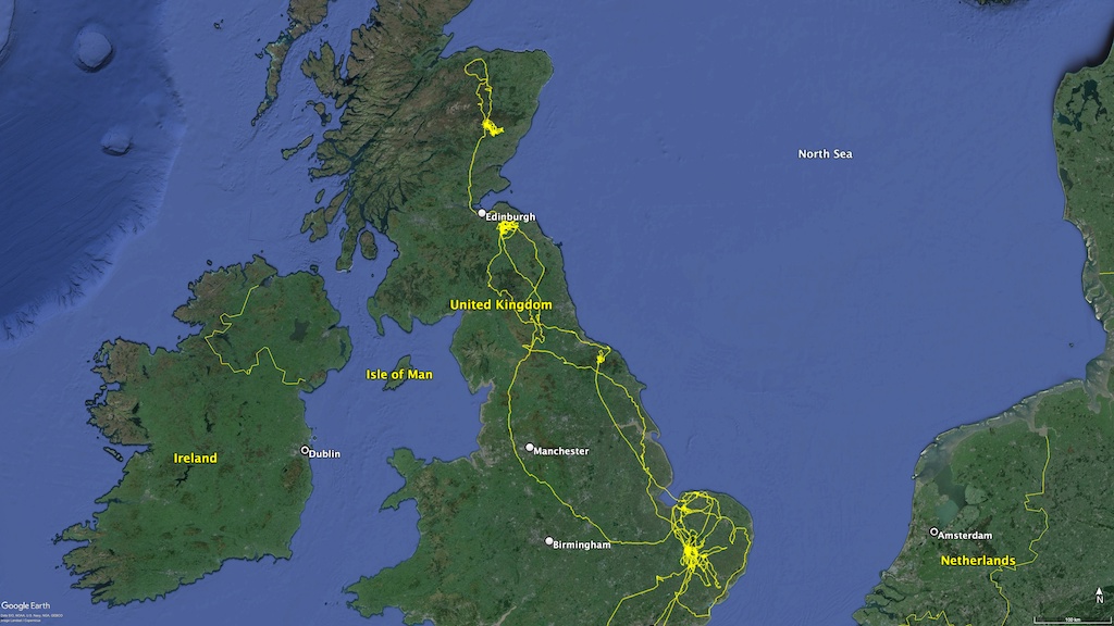 After spending time in East Anglia earlier in the year, G625, the 2023 wild-fledged English White-tailed Eagle, has flown north to the Cairngorms. Here's an update on his explorations by @timmackrill: roydennis.org/2024/05/22/exp… @SeaEagleEngland Photo: Ben Brown