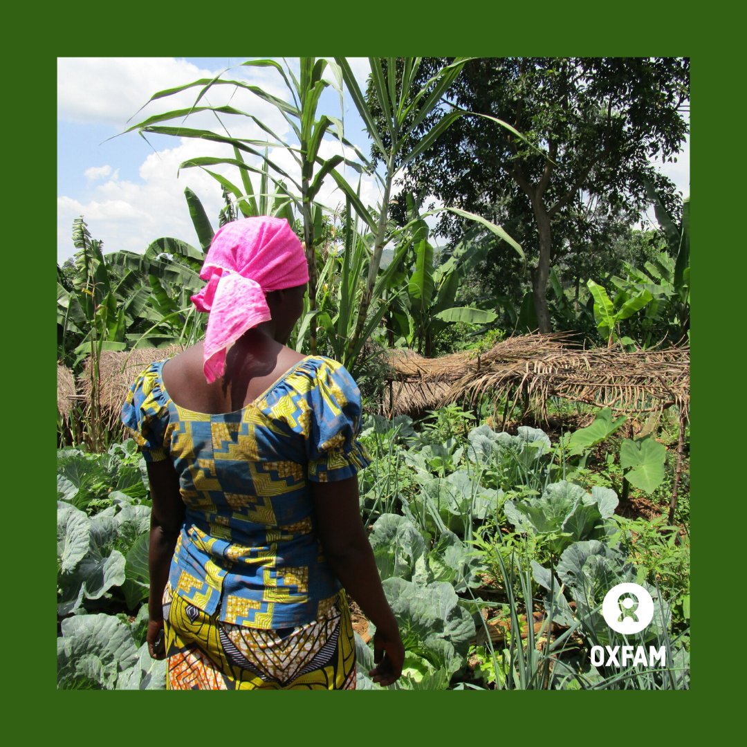 Empowering Women’s Rights Organizations in agriculture can unlock access to vital information, resources & economic opportunities to combat #climatecrisis.  Read from #Ethiopia that highlights the pivotal role of WROs as frontline responders. bit.ly/49Jaafn