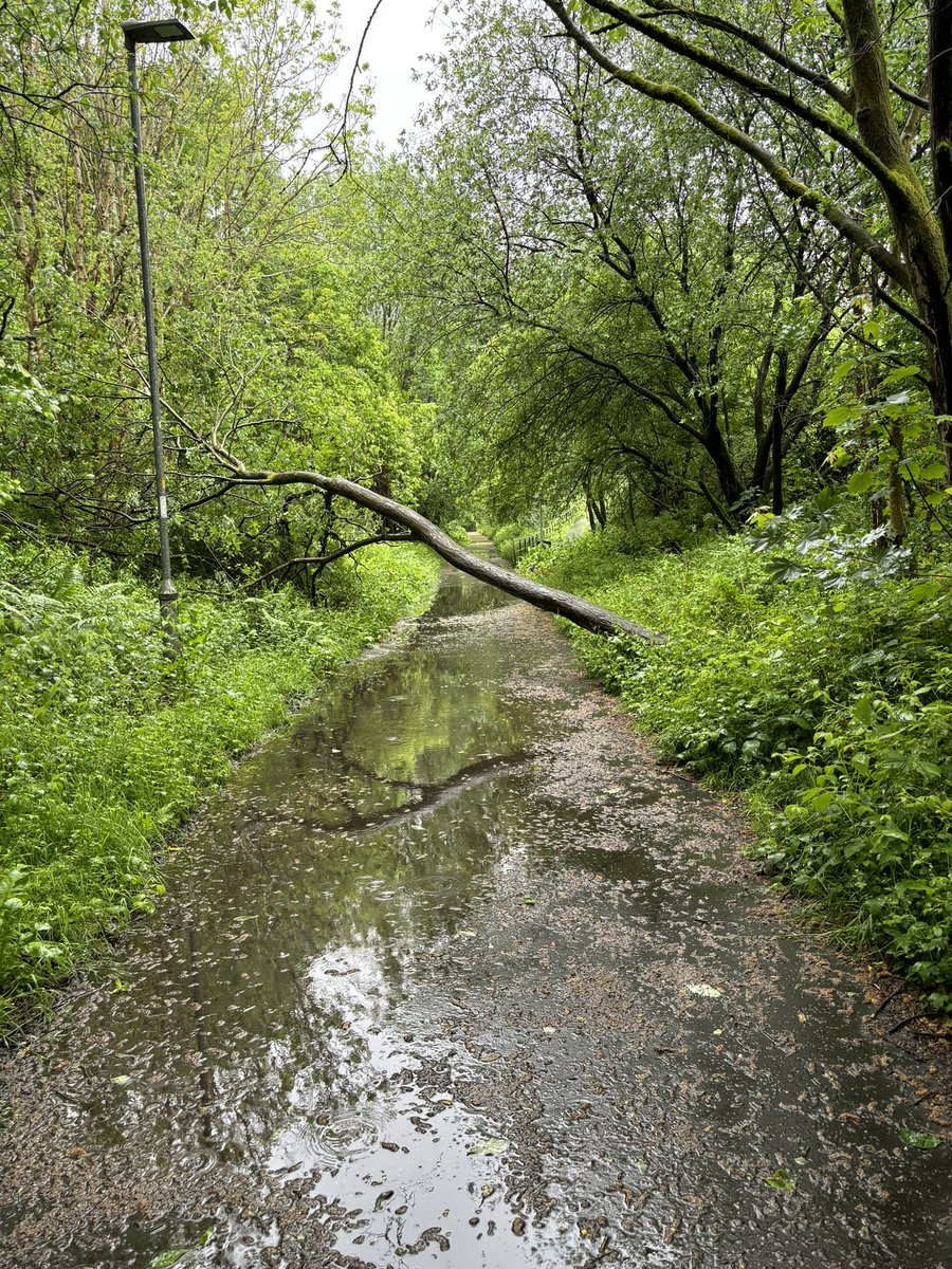 stuarcher's tweet photo. @BuryCouncil This tree has come down on the old railway line near Elton Reservoir https://t.co/pqAPHuF22n