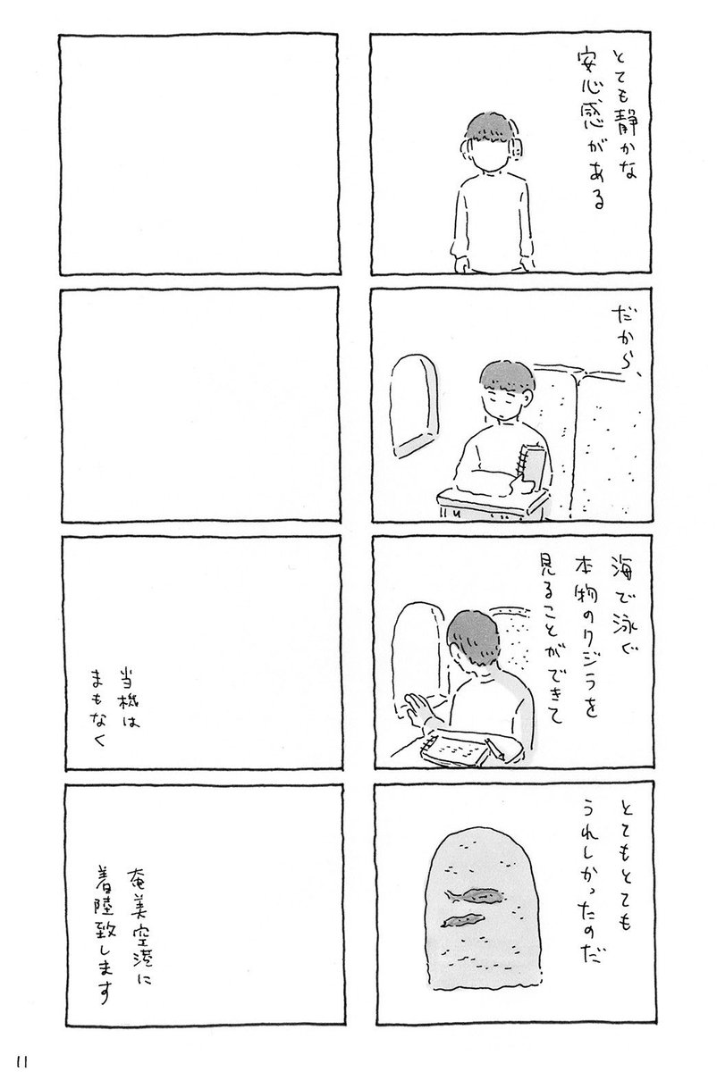 奄美行きの飛行機でパニクった話(3/3)
新刊『奄美旅・アダンの海辺』のプロローグでした。本文116ページ・1200円です。#COMITIA148