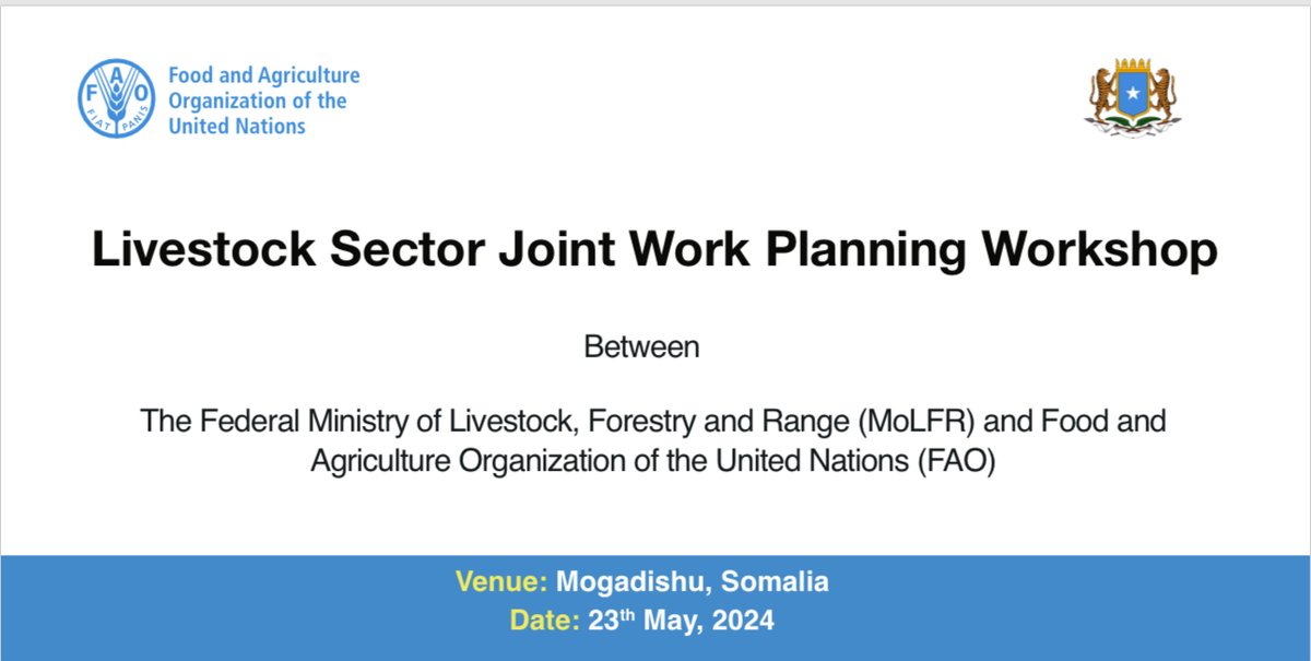 #HappeningNow Joint work planning workshop for @MoLFR_SO and @FAOSomalia. Working Together to Transform the Livestock Sector 🐪🐐🌱#Somalia