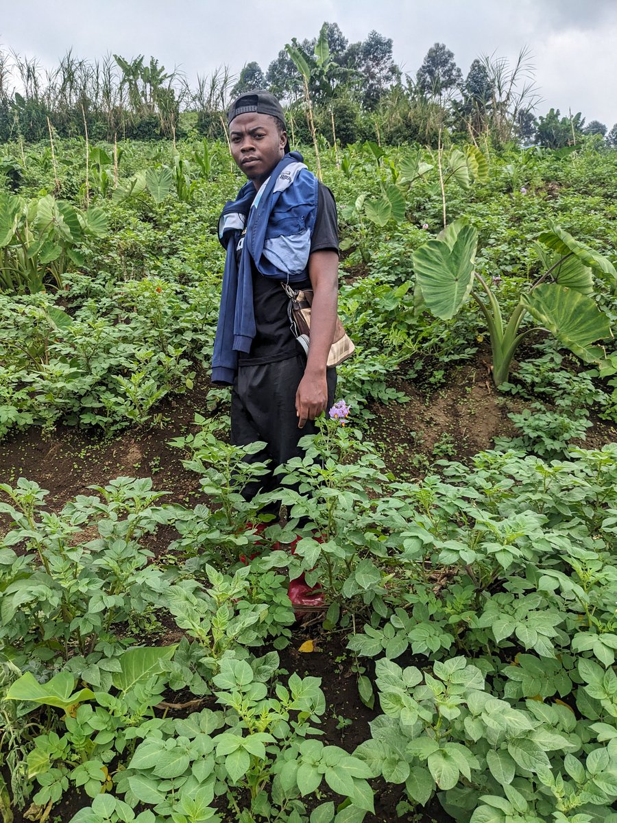 The Farmer Ghislain 🇨🇩 tweet media