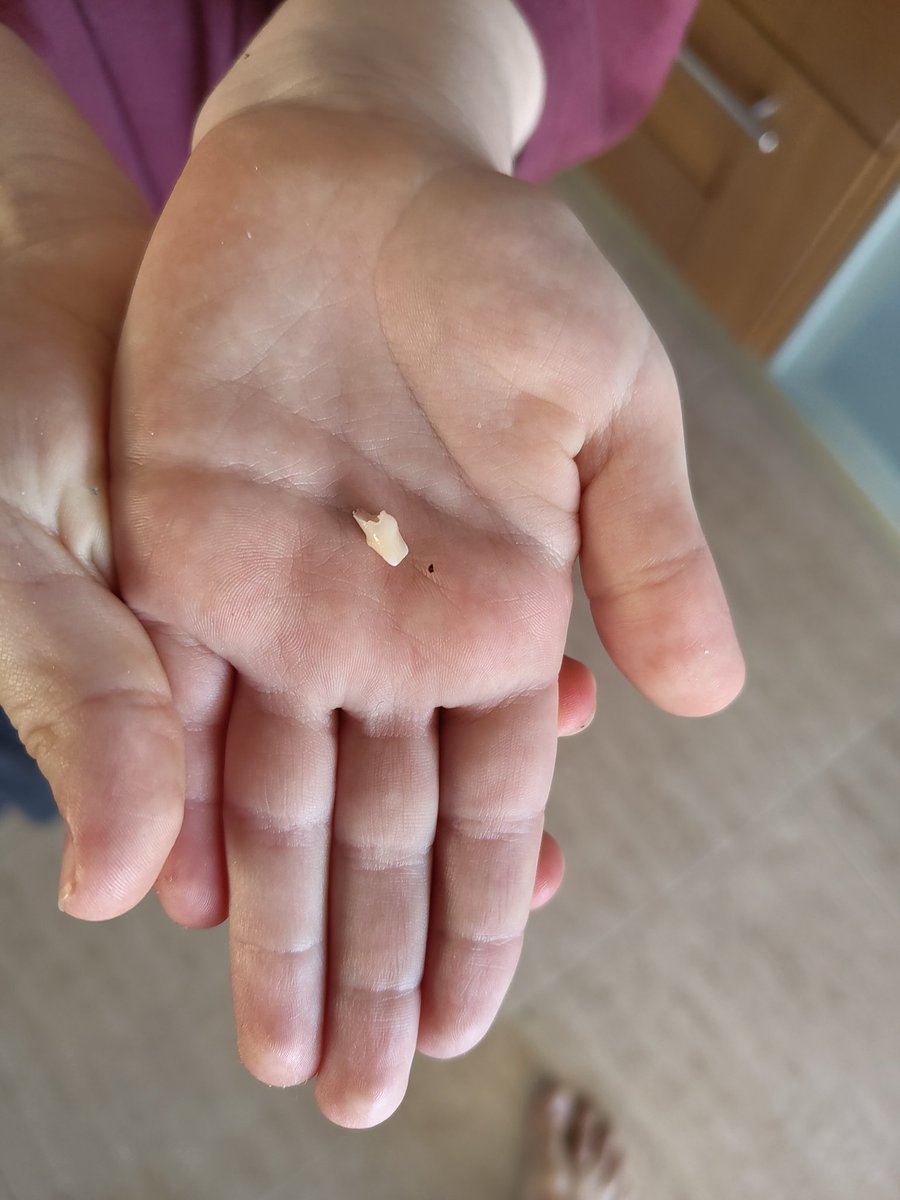 Andy Bush tweet media