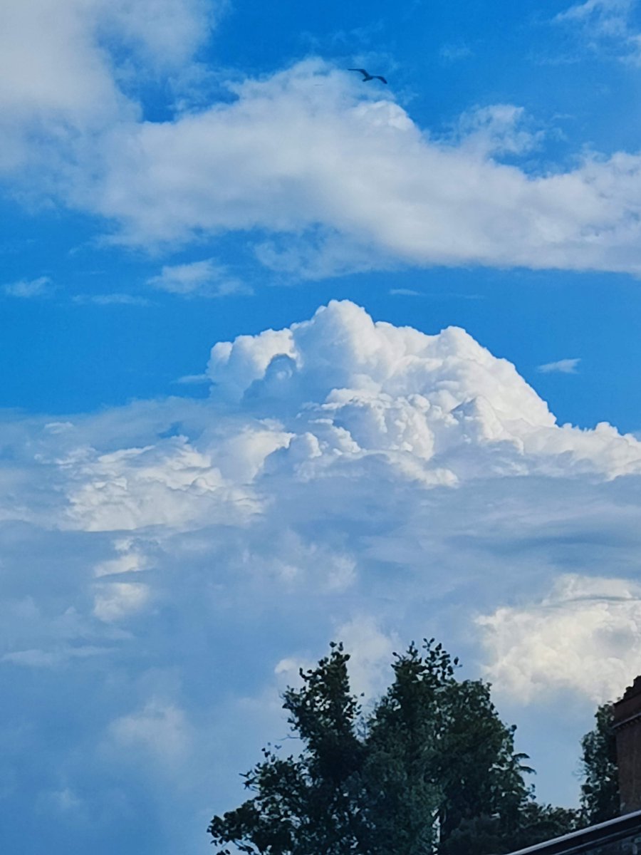 The poetry in a cloud! - La poesia in una nuvola!

#venezia #venice #aphotoofveniceaday #askmeaboutvenice #veniceblogger #veniceblog #베니스 #venicephotos #venicecolors