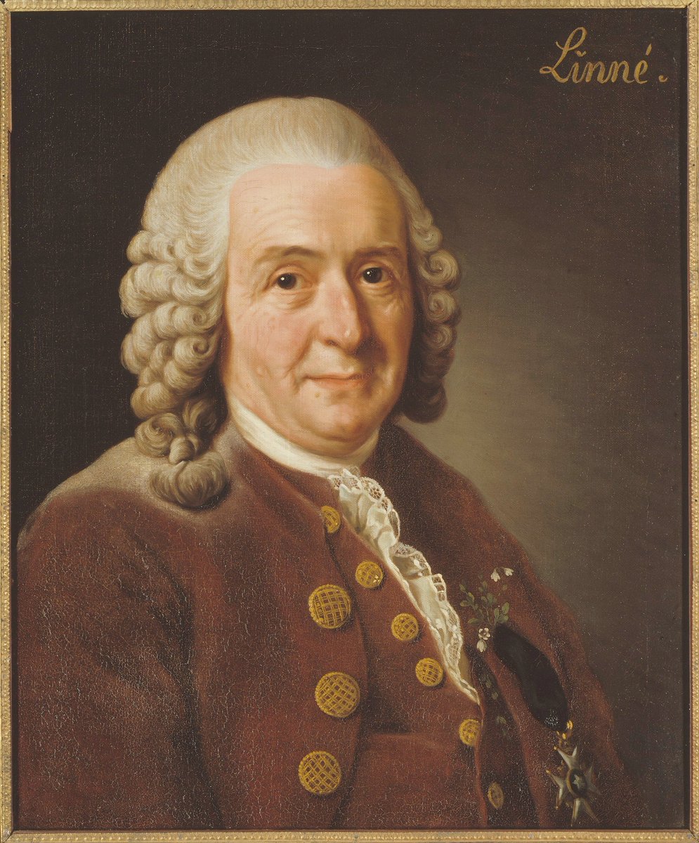 Your unsolicited anagram of the name of a person born on this day – 23 May – in Råshult in 1707 is Carl Linnaeus => Cleans urinal