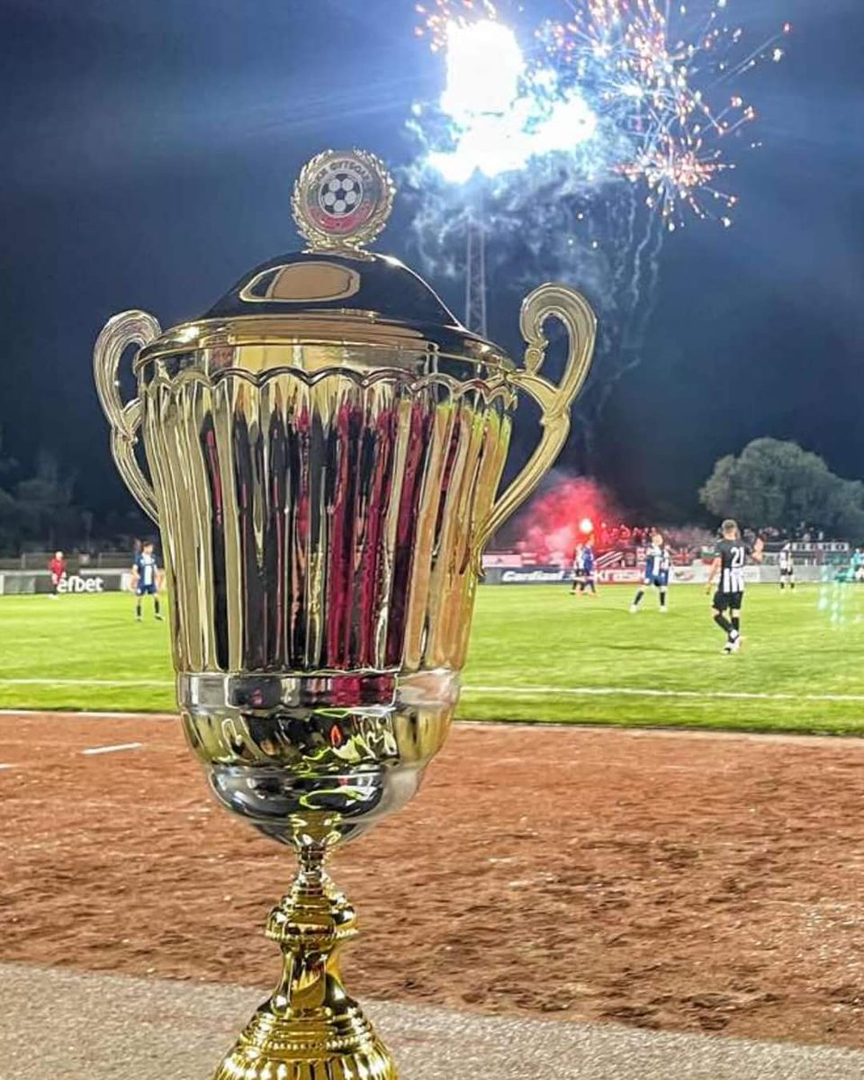 liburd11's tweet image. Champions!