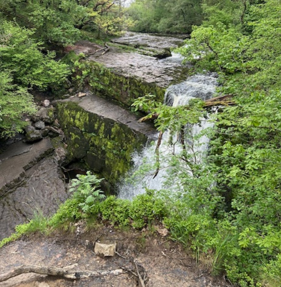 TLPWales's tweet photo. Its not all about #Maths and #Numeracy We took @ban_har for a walk in the Brecon Beacons National Park to see Sgwd Yr Eira Waterfall, making friends in the countryside (the sheep ran off) followed a hearty pub meal! Can you see #BanHar behind the waterfall? https://t.co/8qpwhvXRXV
