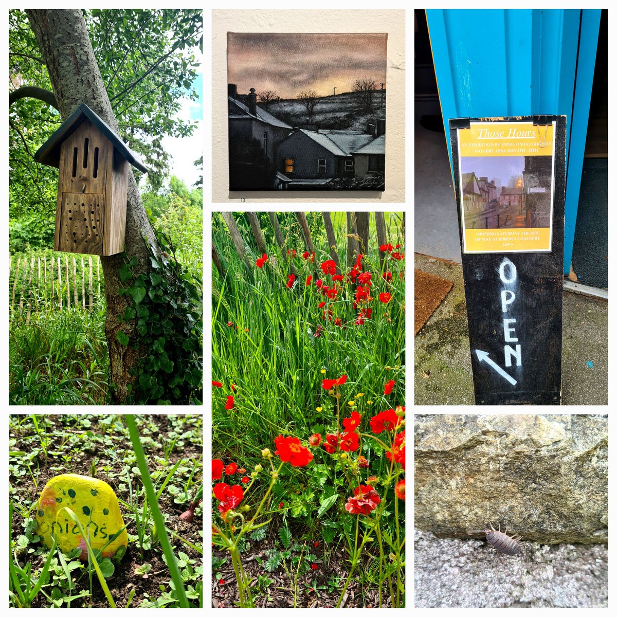 sinead_crowley's tweet photo. #Siúlóid@CCRC celebrated National Biodiversity Week yesterday, exploring the local area to discover fabulous flora &amp; fauna! 
More information is available at 
https://t.co/KkEnEPe7zM

#getcorkwalking 
#nationalbiodiversityweek #BackyardBioblitz https://t.co/jnOXSlUw1A
