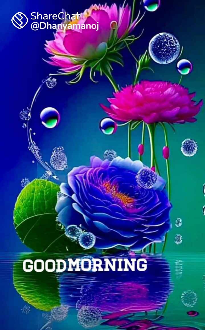 JISHNU MUSCAT😊 (@jishnu20561) on Twitter photo 