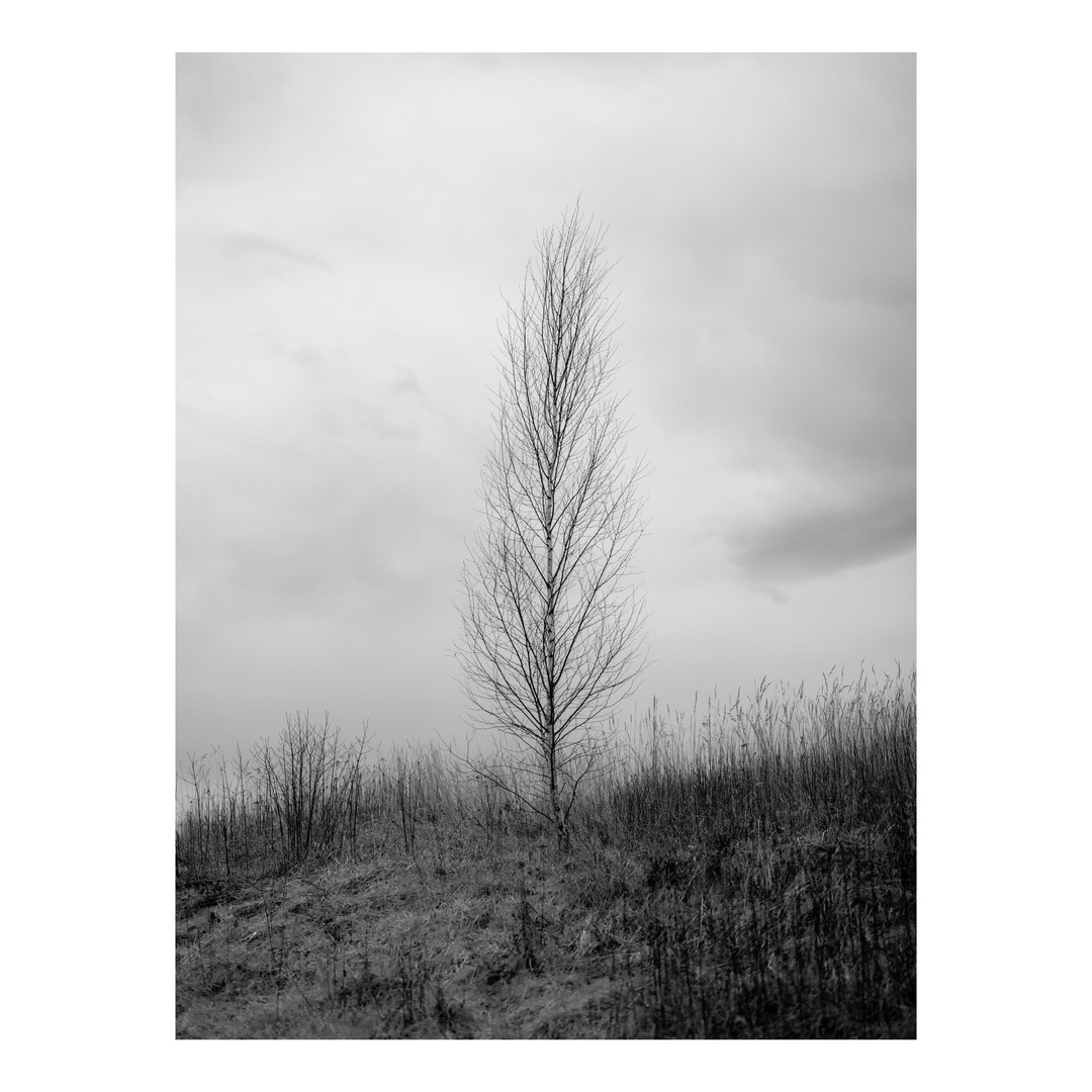 Stu McKenzie tweet media