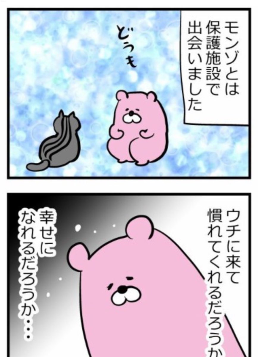 ブログ更新しました🐈‍⬛リプライから続きが読めます🌸 