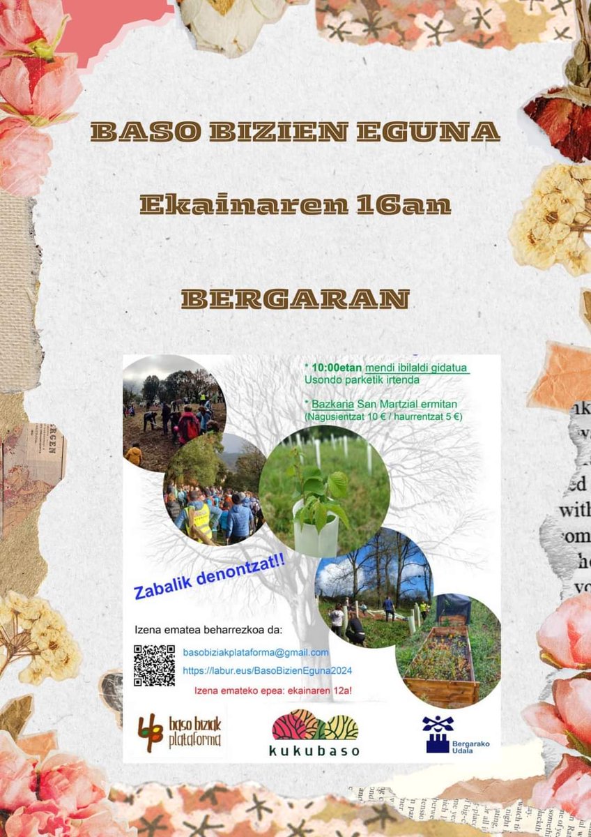 Kukubaso (@kukubaso) on Twitter photo 