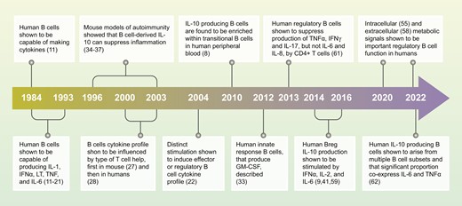 This review from @UCL_RheumAYA researchers summarises the key findings that have revealed the critical functions of #cytokines produced by human #Bcells in health & #autoimmune diseases ➡️bit.ly/3GHuiCO 📸 Timeline of cytokine-producing B cells discoveries