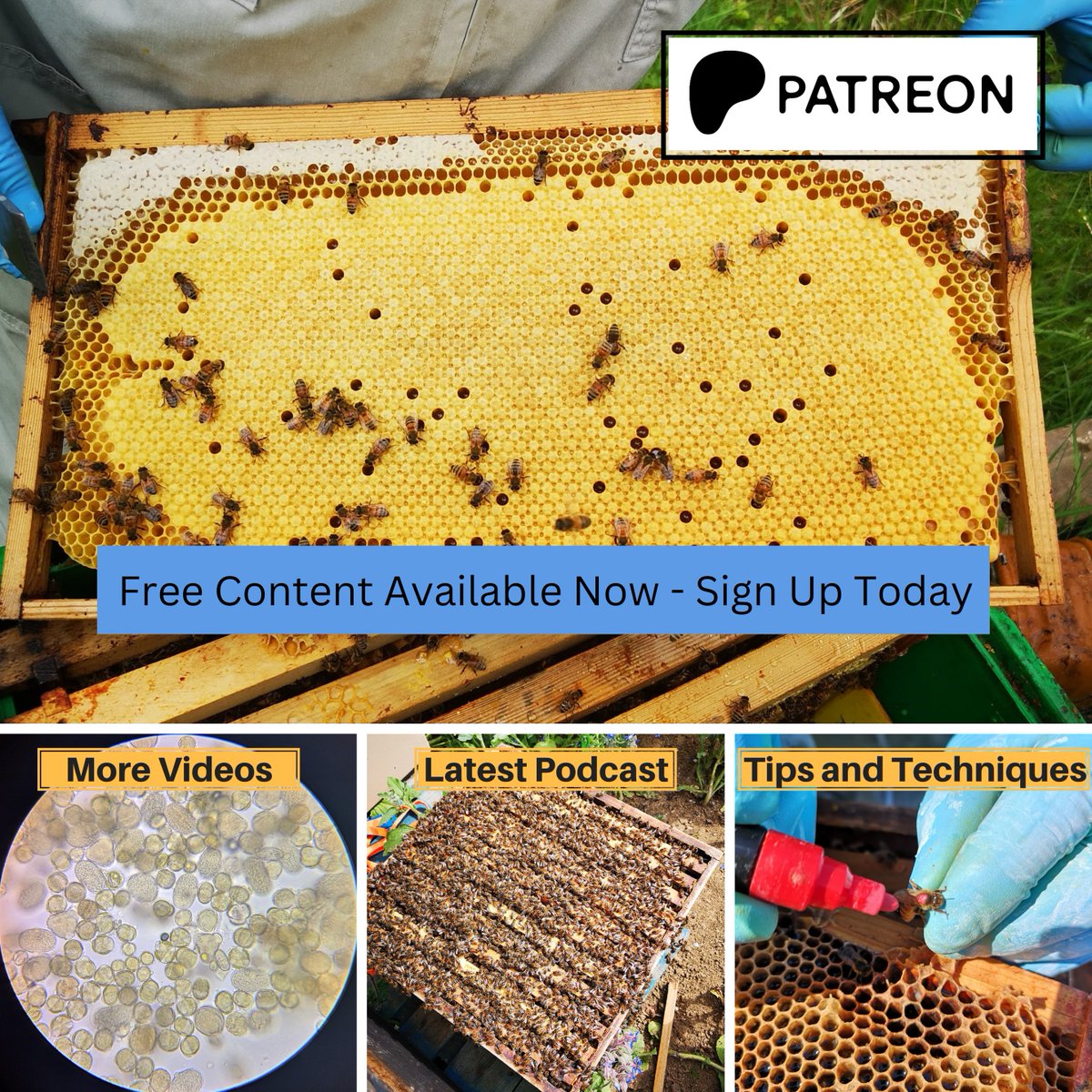 Check out my latest tips and techniques. Sign up today for free. patreon.com/norfolkhoney