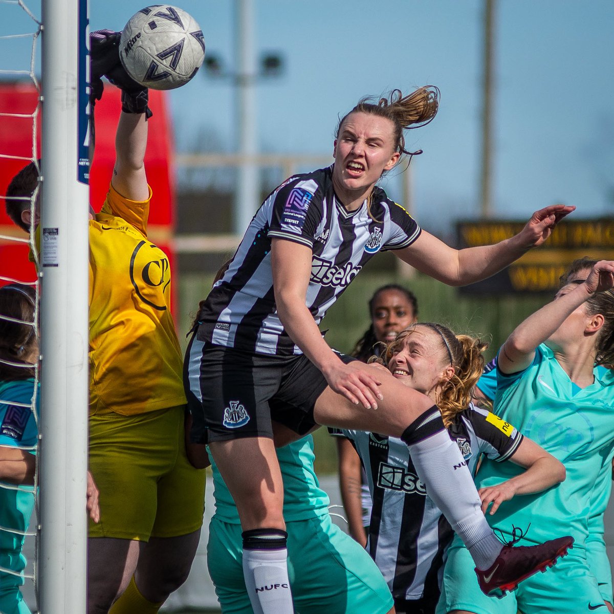 Tyneside_NUWFC's tweet photo. 📸  HOWAY THE LASSES 2023/24 🖤🤍

@NUFCWomen Skipper @akstobbs @Tylerldodds @Oliviaawatt @HannahGreenwoo7 

#UnitedAsOne 🏴🏳️ https://t.co/cMquJROuTF
