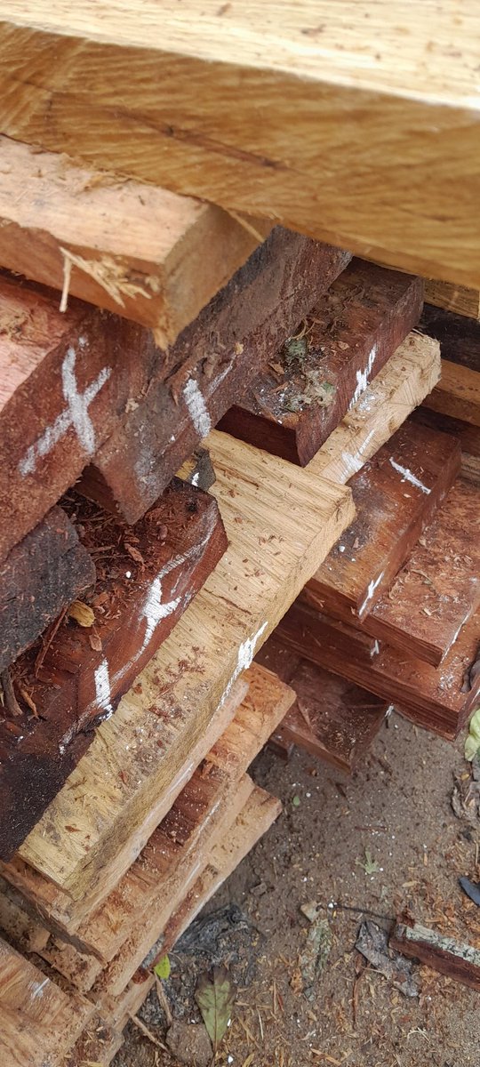 BrainBoxDeguy1's tweet photo. Wood available https://t.co/c7k5fvI0fs