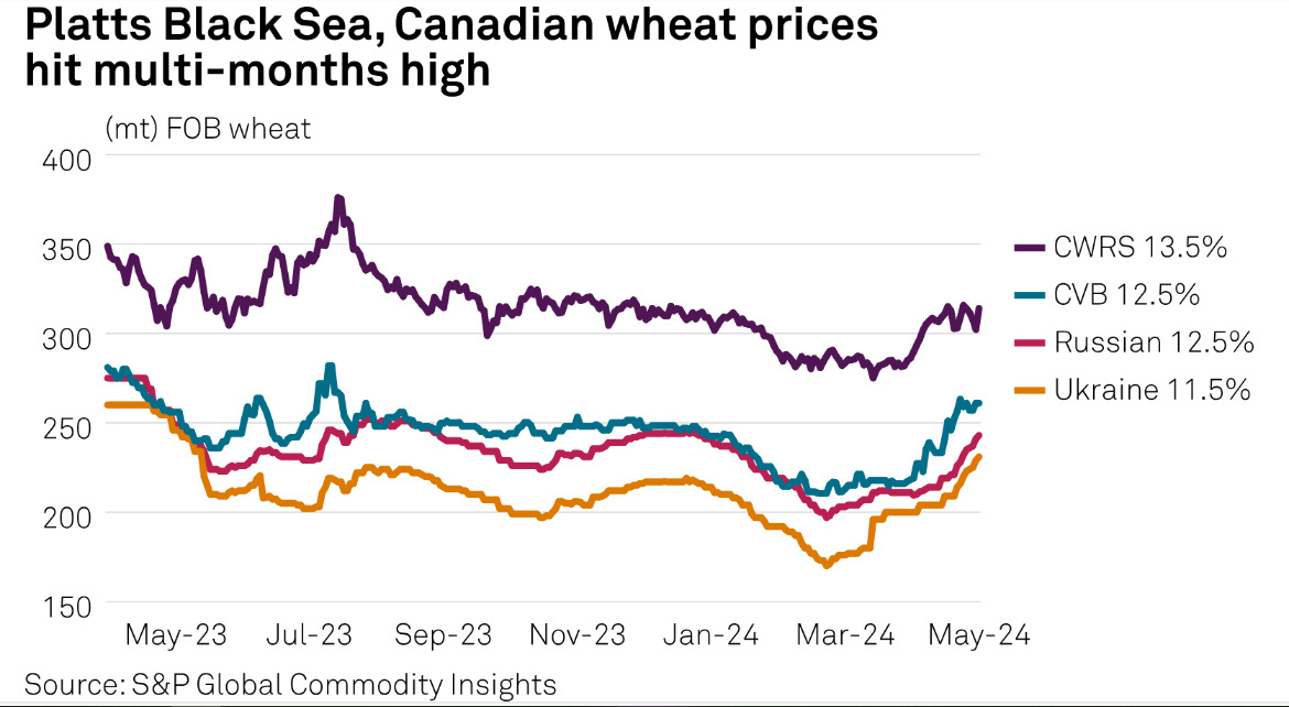#BlackSea, Canadian #wheat prices surge on weather, crop fears ◾ Russian wheat rises to highest level since January 2024 ◾ Dry weather forecasted in Ukraine for next two weeks 🖥️ Full story: okt.to/cJtpwS #Agriculture