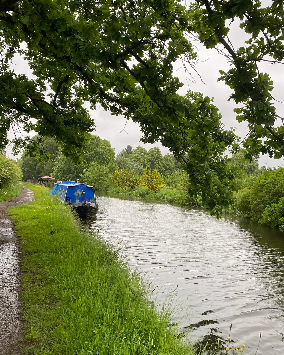 Lots of pre-bank holiday movement along the canal, new arrivals and holiday rentals mooring up on this cool, wet Thursday morning. #dailywalk #timeinnature #wellbeing #canal #earlymorning #rainyday